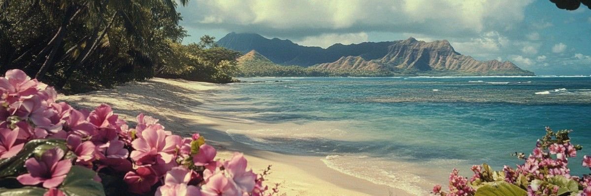 Bia🥥 banner