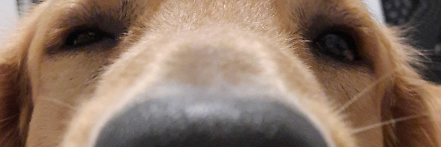 CYNTHIAALEGU's profile banner image