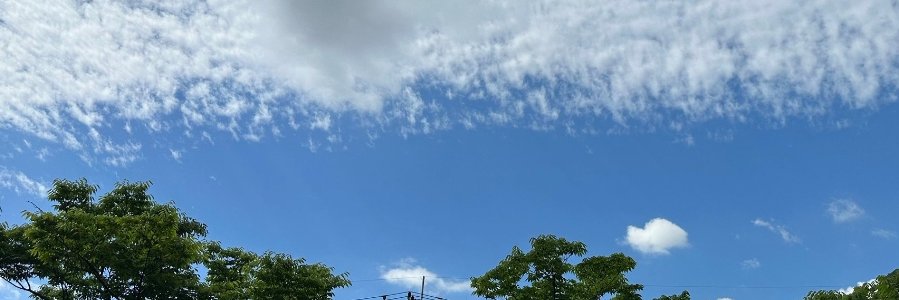 MaxxNct's profile banner image