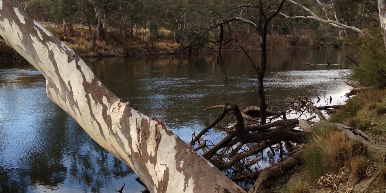 Lesley Howard banner