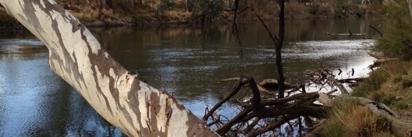 adropex Profile Banner