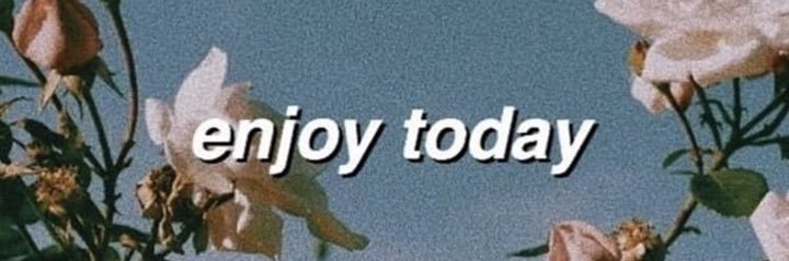 Candelaria Mackinlay banner