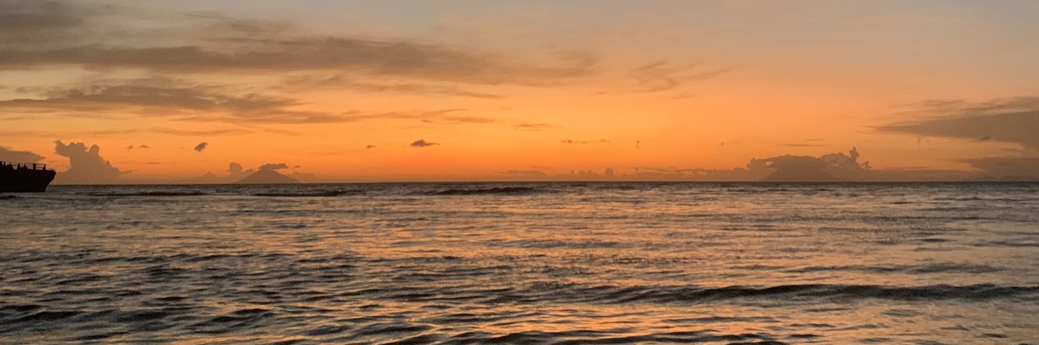 ditamaylani's profile banner image