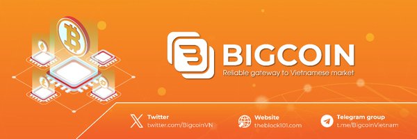 BigcoinVN Profile Banner