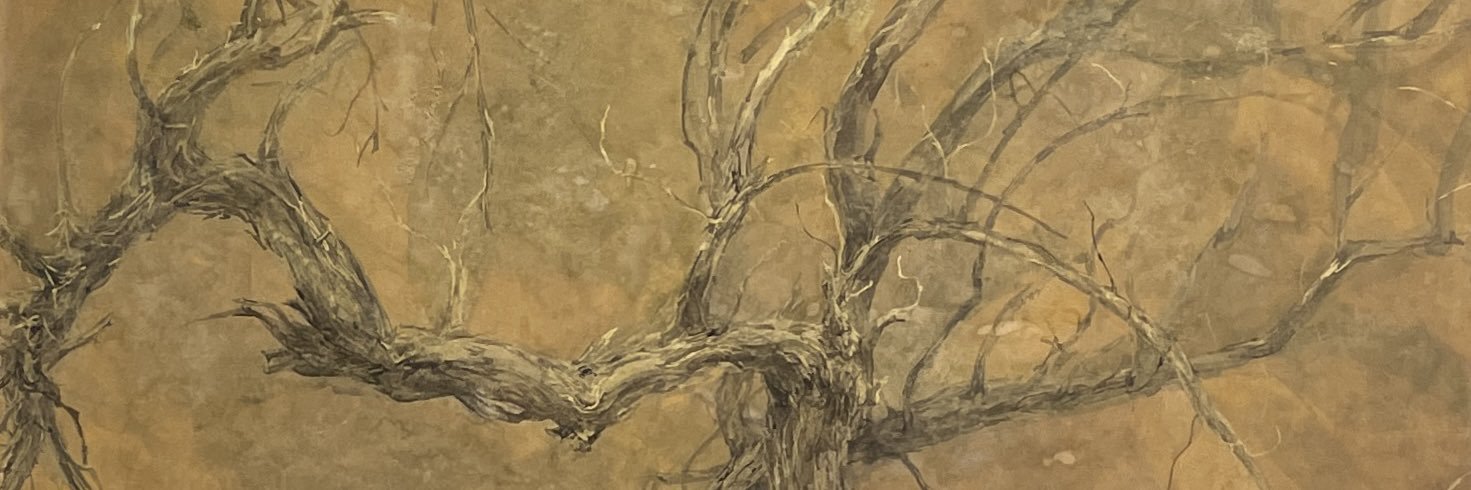 kai01396's profile banner image