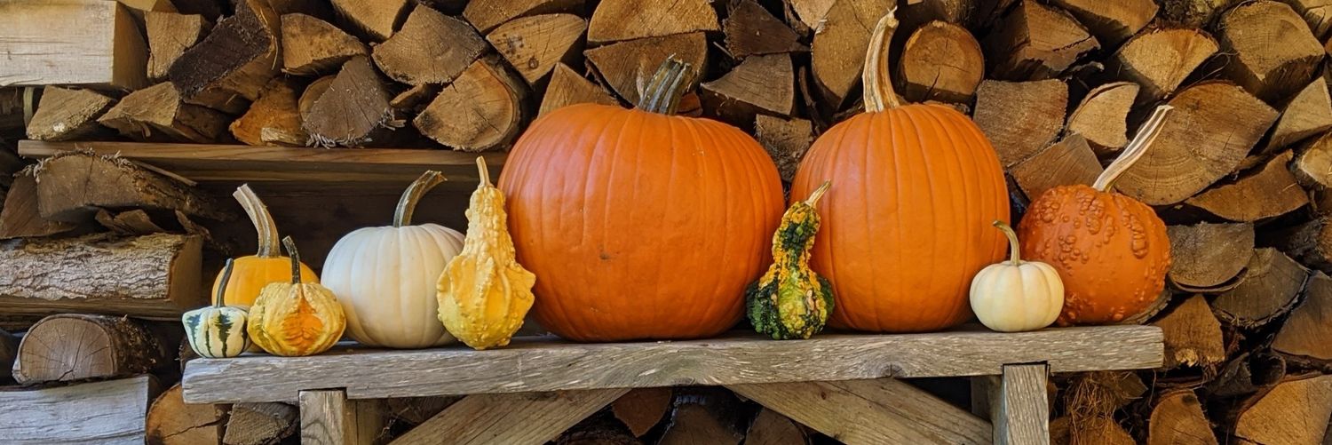 Barbara Morris 🌎🇺🇸📚🎶🏊‍♀️👩‍🍳🩸🧶🌊🌲👩‍🌾 banner