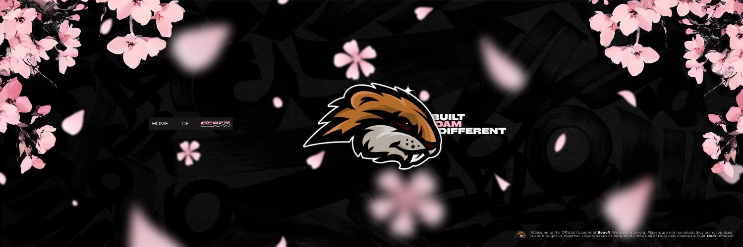 BeavR banner