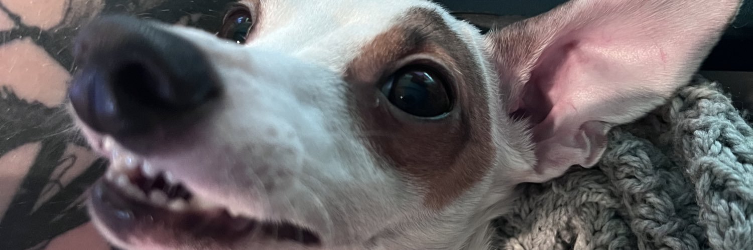 aCuppa Joey banner