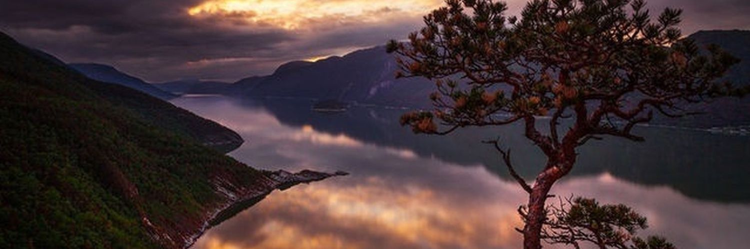 TheLivingEnd's profile banner image