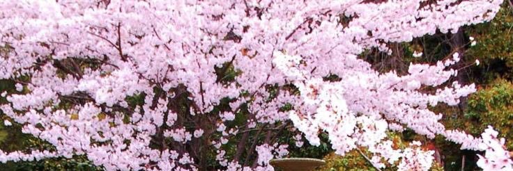 JenWiseman's profile banner image