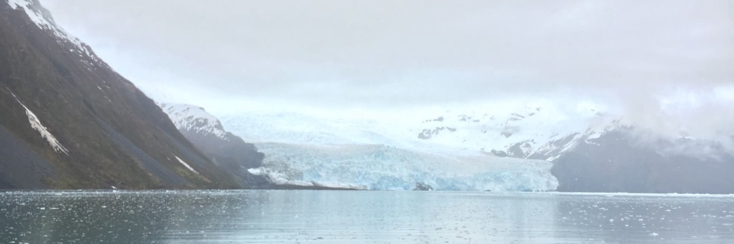 theamazon111's profile banner image