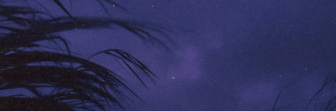 شاید رَها. banner