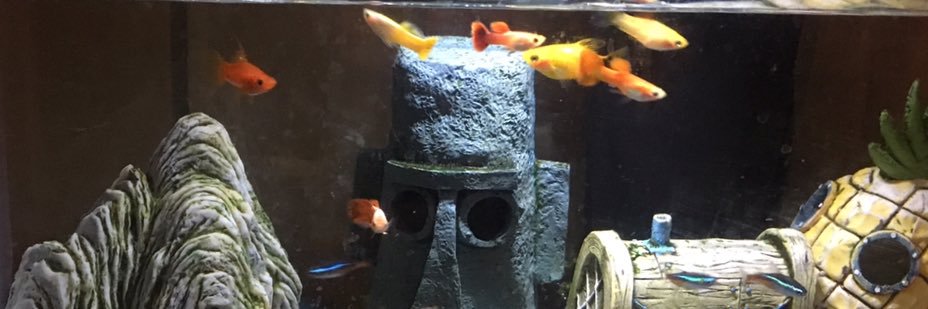 gingerhsc's profile banner image