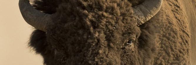 gcsavage's profile banner image