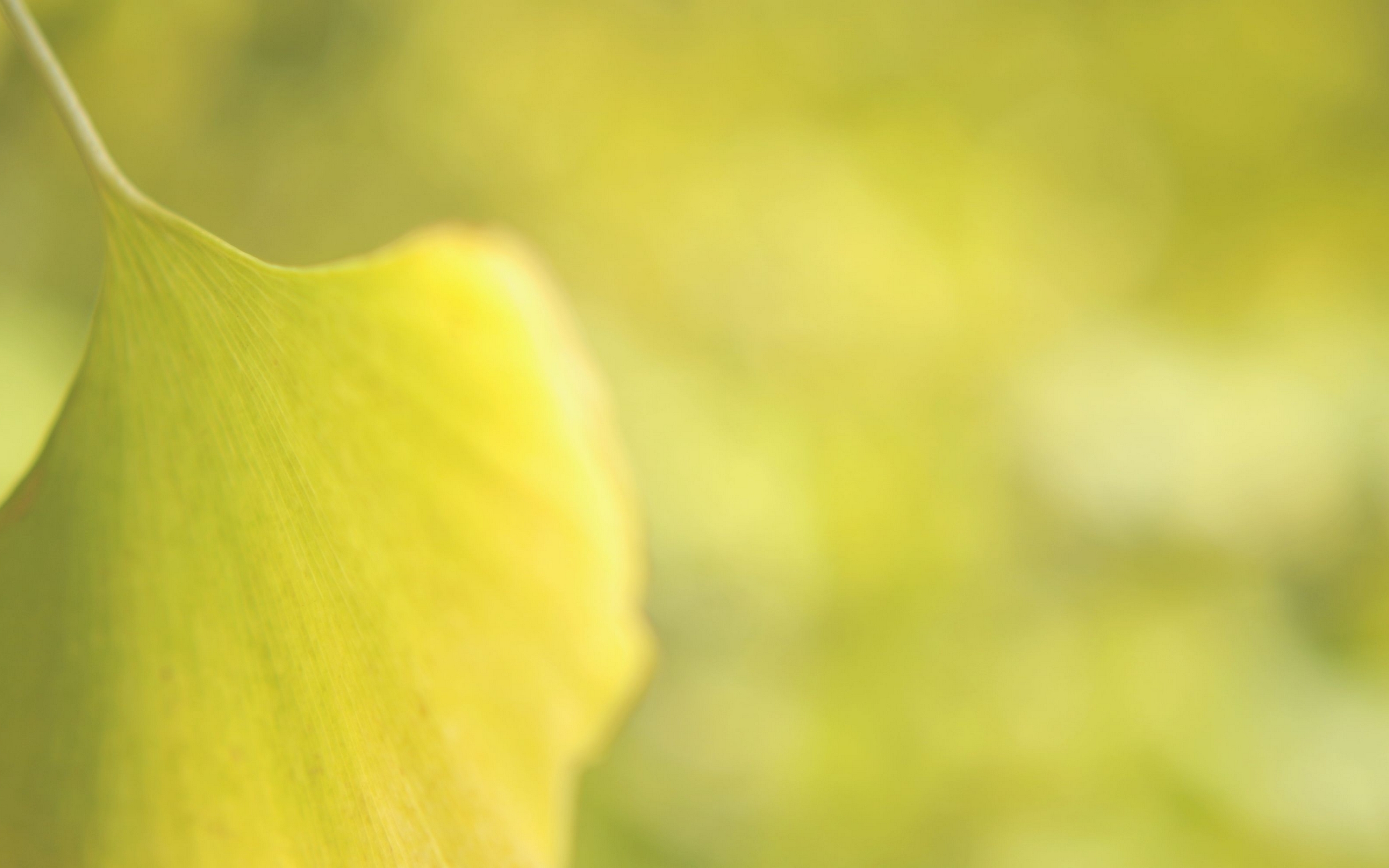 AddysonSla1246's profile banner image