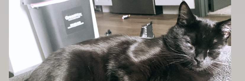 peyweeeezy's profile banner image