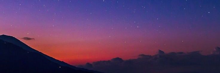 nttyplin13's profile banner image
