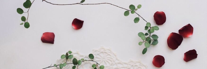 narikawa111's profile banner image