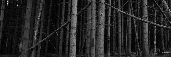 Appairition's profile banner image