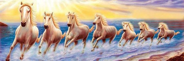 RohitShk732 Profile Banner