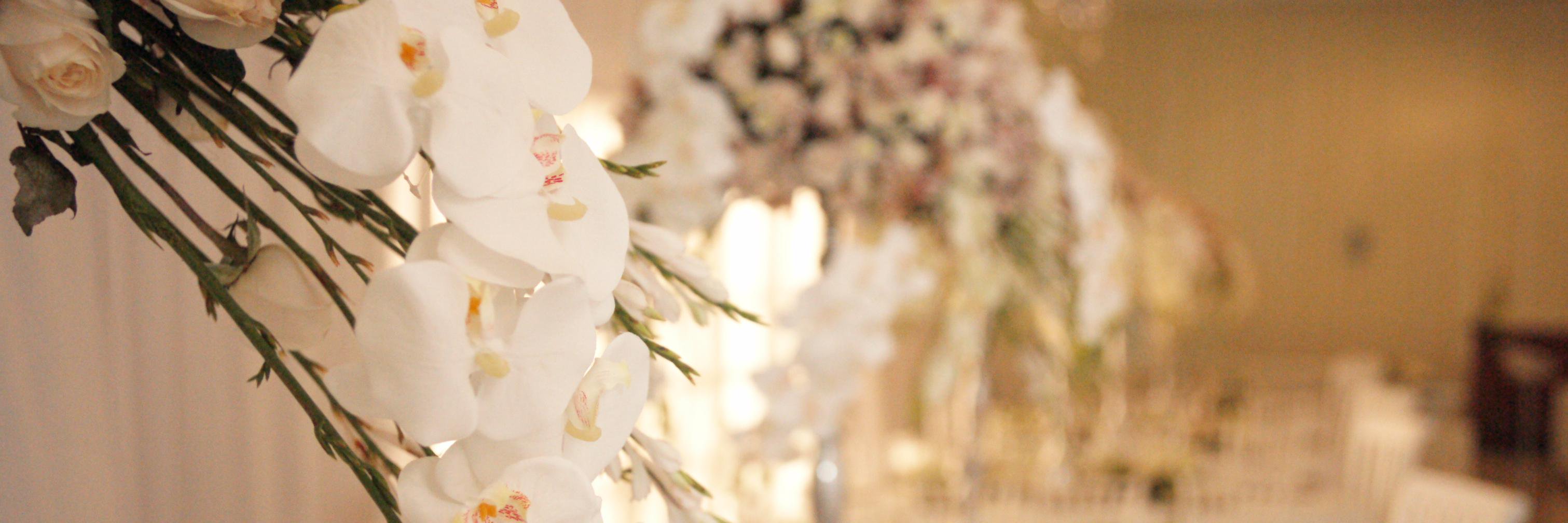 jesuseventos's profile banner image