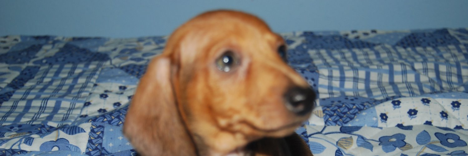 jwtexas's profile banner image