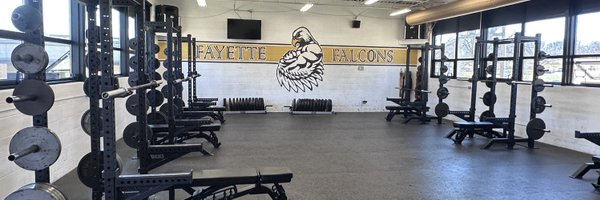 FalconStrong45 Profile Banner