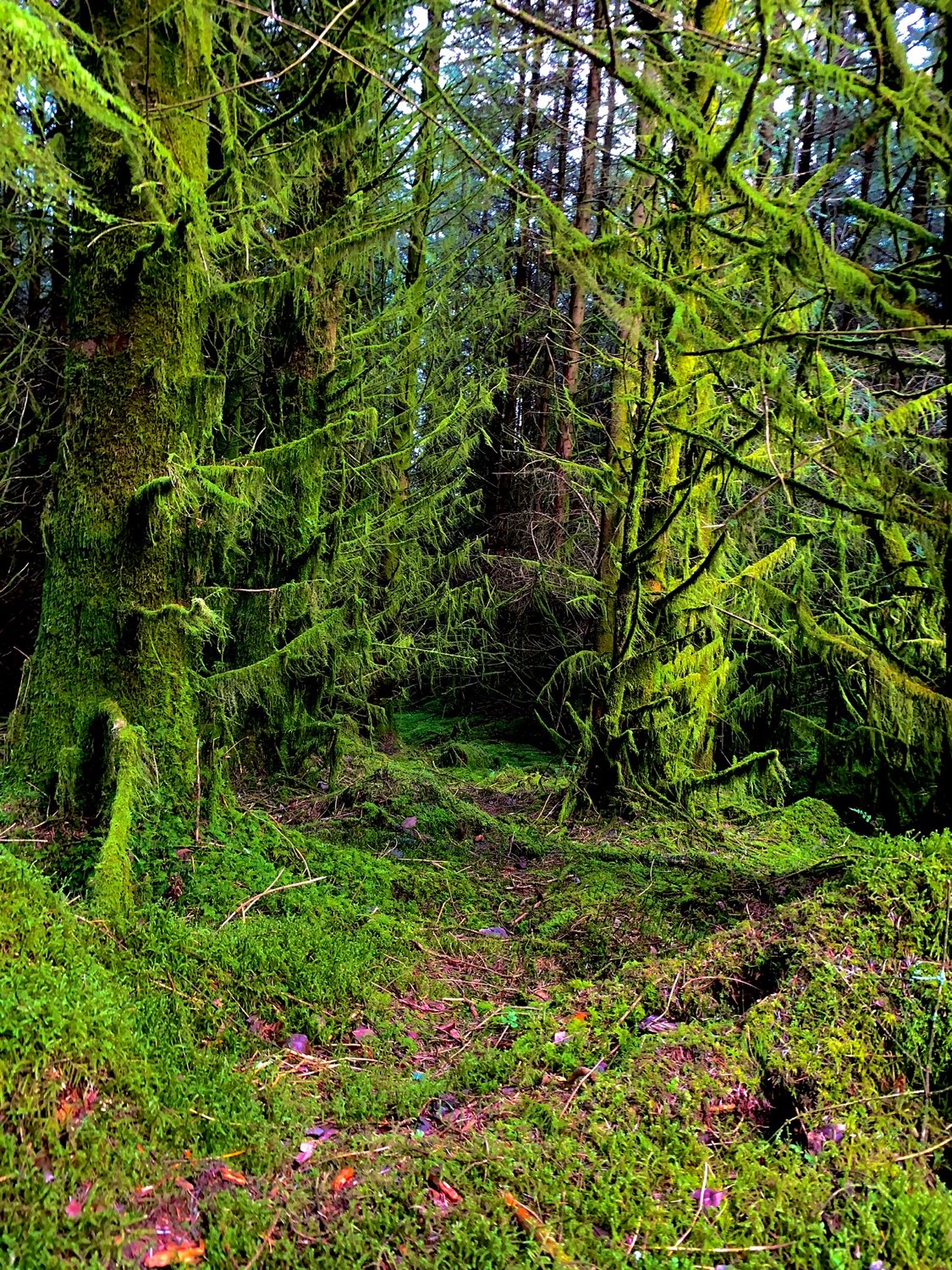 CranleyG68's profile banner image