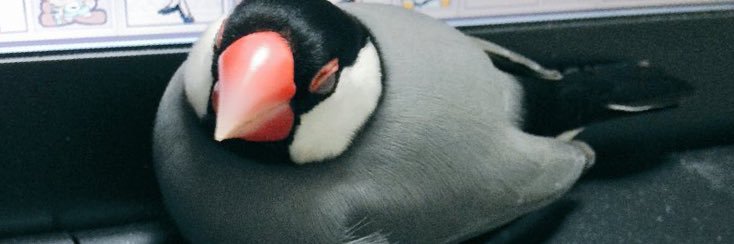 Mz27t's profile banner image