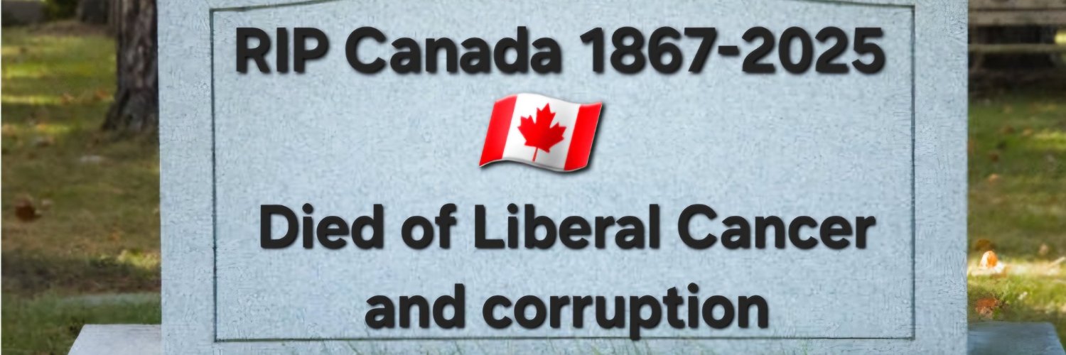 Miss 🇨🇦Understood🇺🇸 banner