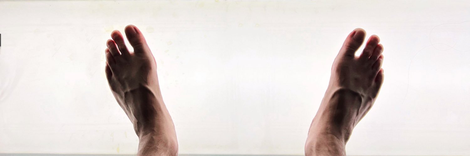 多毛小马甲 banner