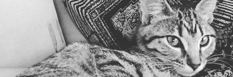 westcoastsmilee's profile banner image