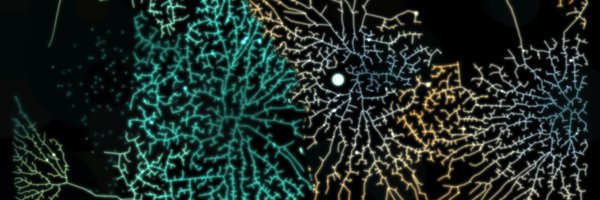 OCMcollector Profile Banner
