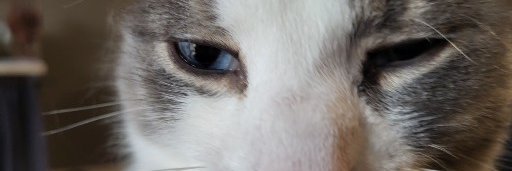 Tom3456 banner