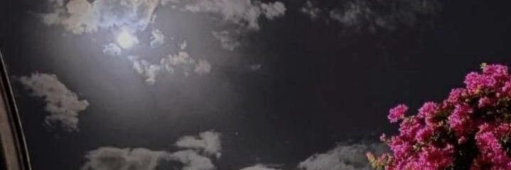 ameera___99's profile banner image