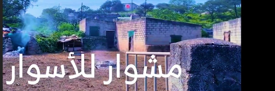 محمد المردوف أبو عبد الله banner