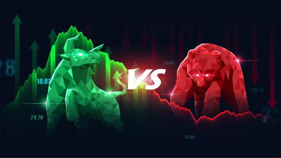 Wisin Palers banner