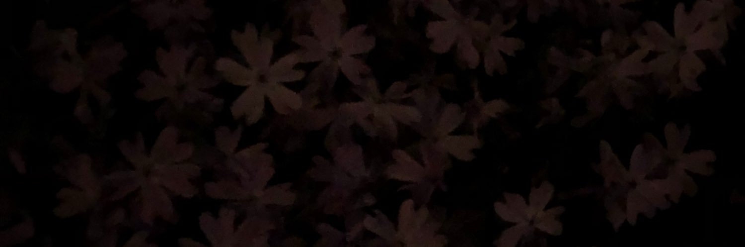 lscavender's profile banner image