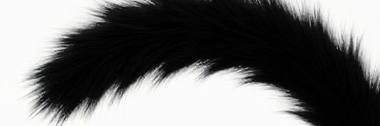 :3 banner