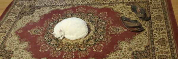 PurrfessorJones Profile Banner