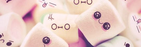 programdolly's profile banner image
