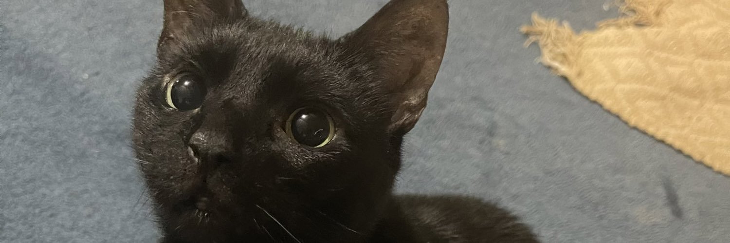 kdpinano's profile banner image