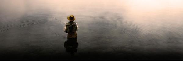 dryflydistiller Profile Banner