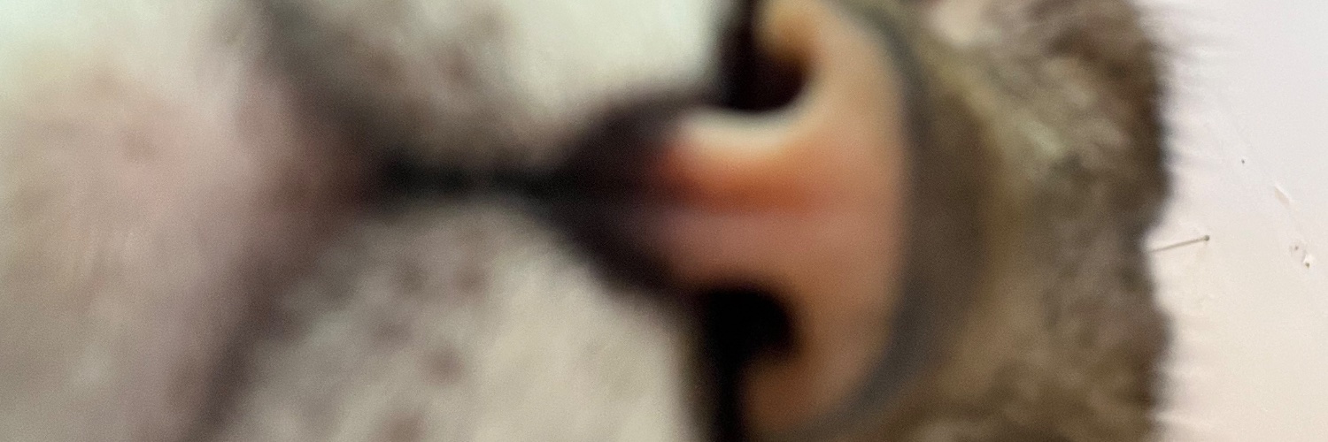 jonas123461's profile banner image