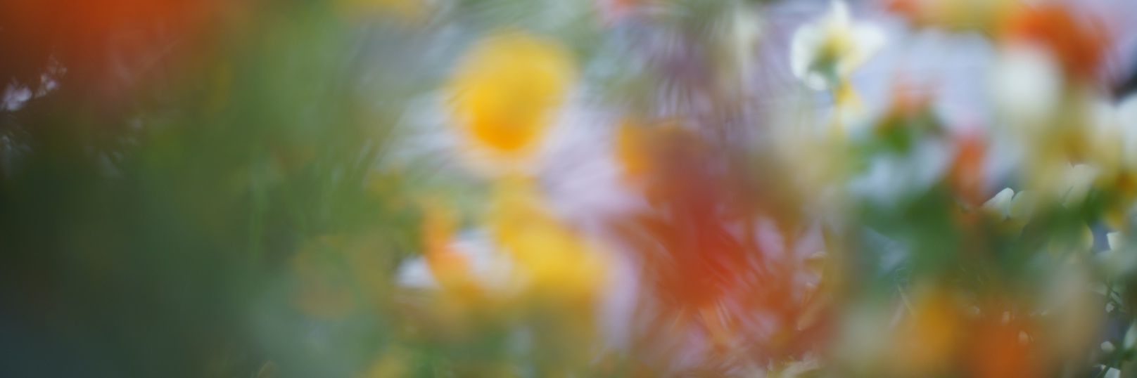 tokaisprits's profile banner image