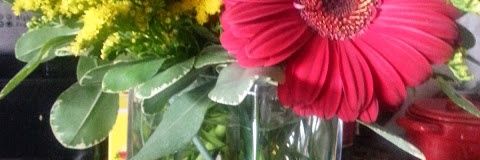 deedee42066's profile banner image