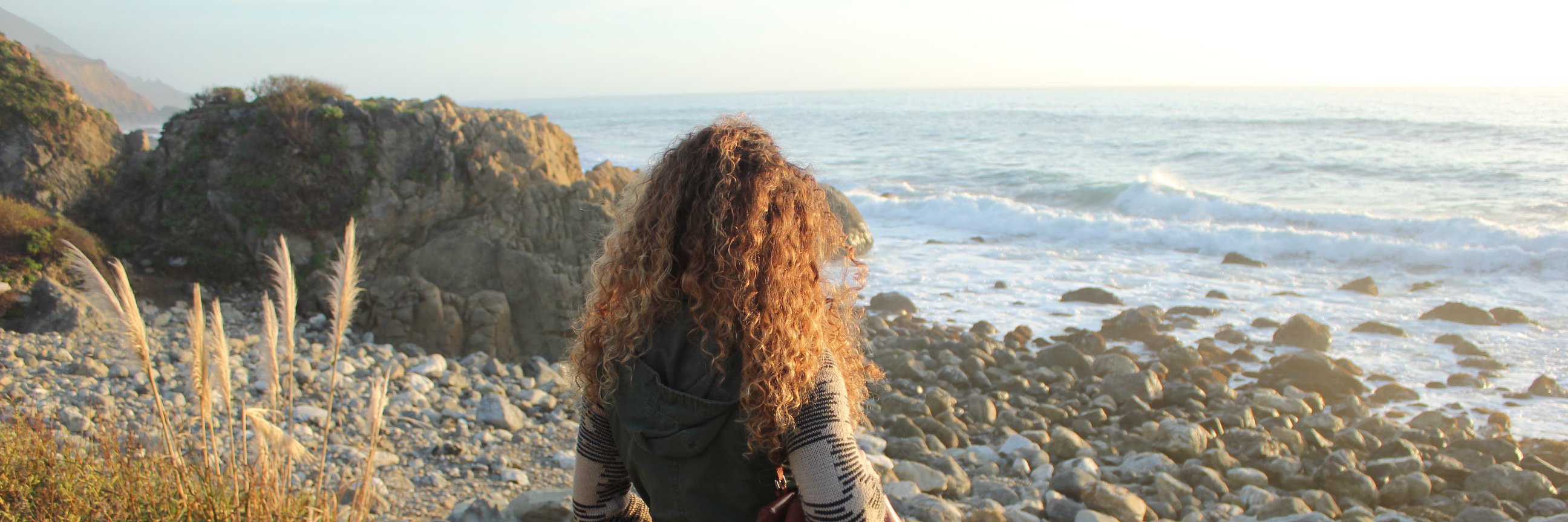 curlylbow's profile banner image