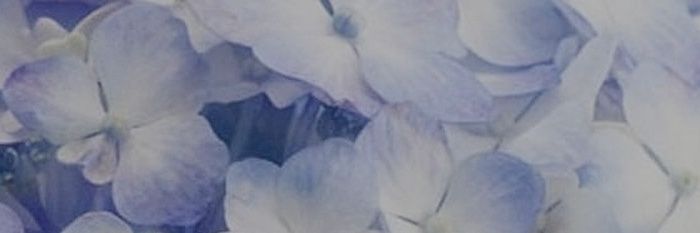 Shuri_cir's profile banner image