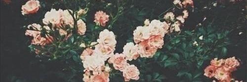 larrymiu's profile banner image