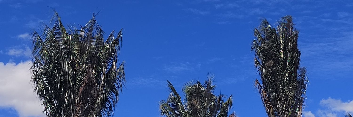 MigoAvendano's profile banner image
